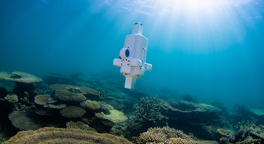Diminutive Deep Sea Drone Dives for Wrecks and Reefs