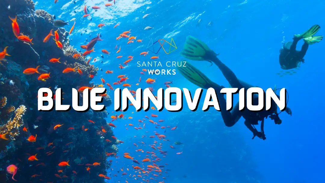 An image of divers swimming amidst a thriving coral reef, with the Santa Cruz Works branding and the phrase 'Blue Innovation